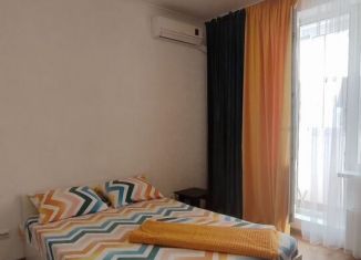 Сдам в аренду квартиру студию, 25 м2, Ростов-на-Дону, Гарнизонный переулок