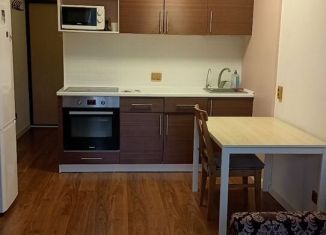 Квартира в аренду студия, 23 м2, Ижевск, улица Городок Машиностроителей, 100Б
