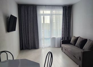 Сдача в аренду 1-комнатной квартиры, 41.2 м2, Карелия, улица Тапиола, 2к2