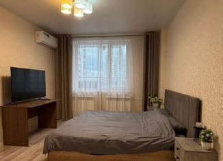 1-ком. квартира в аренду, 40 м2, Татарстан, 65-й комплекс, 3