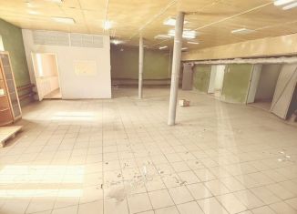 Сдам склад, 195 м2, Пензенская область, улица Германа Титова, 3к5