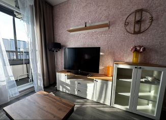 Сдача в аренду 1-комнатной квартиры, 34.2 м2, Санкт-Петербург, проспект Будённого, 15, метро Проспект Ветеранов