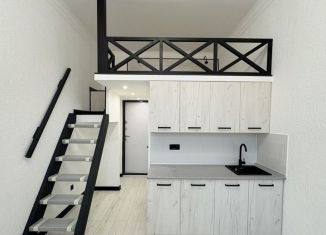 Продажа квартиры студии, 22 м2, Санкт-Петербург, Боровая улица, 11-13