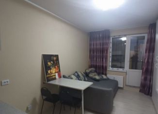 Продаю квартиру студию, 21.3 м2, Санкт-Петербург, метро Комендантский проспект, Плесецкая улица, 10