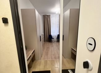 Сдается в аренду квартира студия, 21 м2, Санкт-Петербург, 15-я линия Васильевского острова