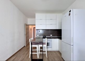 Продаю квартиру студию, 28 м2, Санкт-Петербург, Плесецкая улица, 20к1, ЖК Чистое Небо