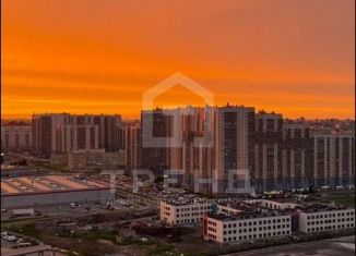 Продажа 1-комнатной квартиры, 39.6 м2, Санкт-Петербург, Дальневосточный проспект, 25к1, метро Елизаровская