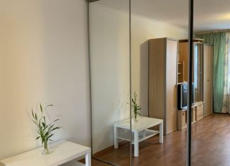 Сдаю 1-комнатную квартиру, 31.3 м2, Санкт-Петербург, Большеохтинский проспект, 1к1