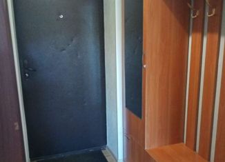 Сдаю в аренду 1-комнатную квартиру, 236 м2, Республика Алтай, Заринская улица, 39к2