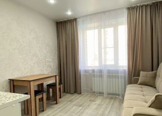 Квартира на продажу студия, 27 м2, Чебоксары, улица Тимофея Кривова, 8