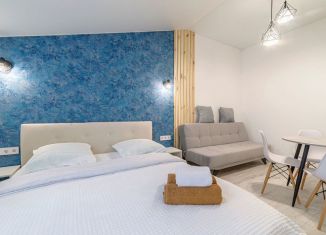 Аренда квартиры студии, 20 м2, Пенза, Московская улица, 6, Ленинский район