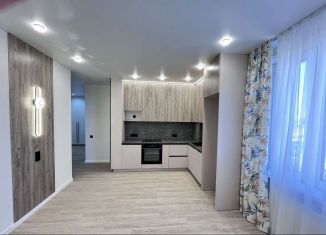 Продажа 2-ком. квартиры, 65.8 м2, Благовещенск, ЖК Чайка, улица Чайковского, 100/4