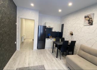 Сдам в аренду квартиру студию, 30 м2, деревня Куюки, Молодёжная улица, 29