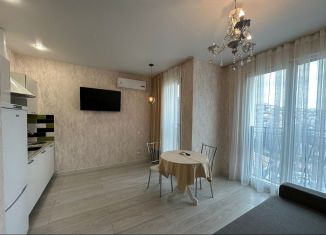 1-комнатная квартира на продажу, 30 м2, Сочи, Виноградная улица, 221/5