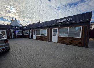 Продажа помещения свободного назначения, 140 м2, Благовещенск, улица Ленина, 60