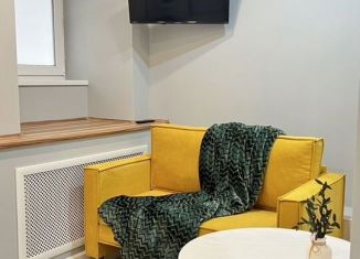 Квартира в аренду студия, 15 м2, Санкт-Петербург, Смоленская улица, 3-5