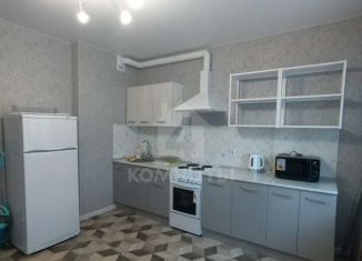 Сдам в аренду двухкомнатную квартиру, 70 м2, Воронеж, улица Лётчика Филипова, 8