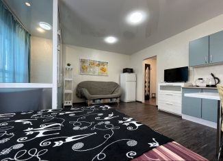 Сдам в аренду квартиру студию, 42 м2, Новосибирск, Октябрьский район, Обская улица, 46/2