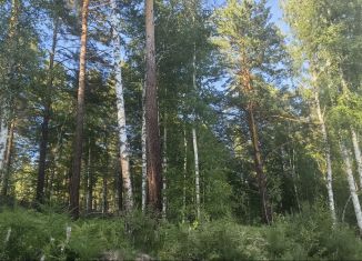 Продажа земельного участка, 10 сот., деревня Новолисиха