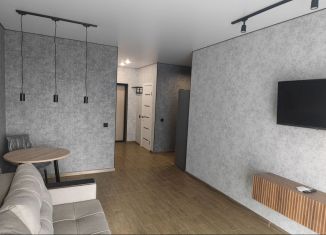 Квартира в аренду студия, 30.7 м2, Новосибирск, улица Никитина, 10к4, Октябрьский район