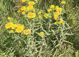 Продам земельный участок, 6 сот., Республика Башкортостан, СТ № 42 УМПО, 197