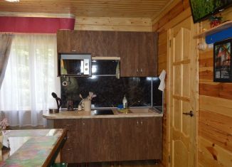 Сдам дом, 45 м2, село Архыз, улица Ленина, 161