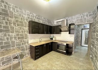 Сдается 1-ком. квартира, 44 м2, Краснодар, Душистая улица, 77, микрорайон Молодёжный