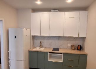 Сдам в аренду однокомнатную квартиру, 37.7 м2, Санкт-Петербург, проспект Авиаконструкторов