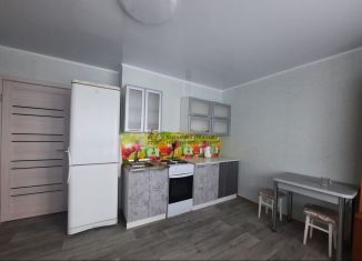 Сдаю в аренду 1-комнатную квартиру, 30 м2, Республика Башкортостан, Заводская улица, 15/3