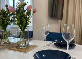 Сдается в аренду квартира студия, 26 м2, посёлок Стрельна, проспект Будённого, 26к2