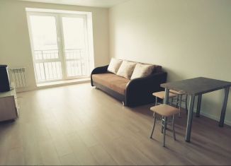 1-комнатная квартира в аренду, 28.6 м2, Пенза, улица Генерала Глазунова, 17