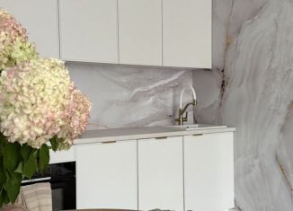 Продам 1-комнатную квартиру, 40.6 м2, Екатеринбург, улица Шаумяна, 28