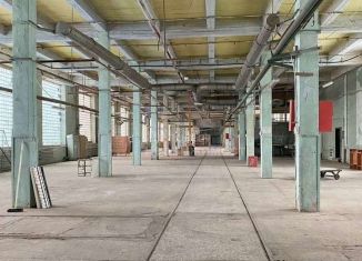 Сдам производство, 1500 м2, Новгородская область, Великая улица, 22с10