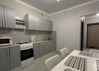 Сдам в аренду 1-ком. квартиру, 38 м2, Татарстан, улица Николая Ершова, 66В