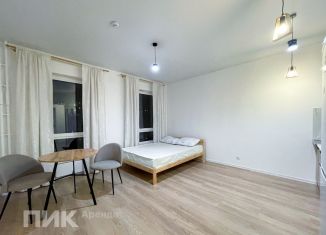 Сдам однокомнатную квартиру, 26 м2, Котельники, Новая улица, 3