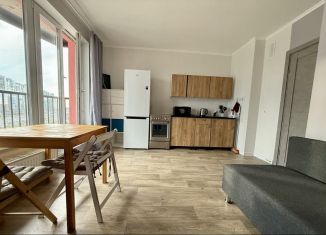 Продаю квартиру студию, 23.5 м2, Санкт-Петербург, метро Комендантский проспект, Комендантский проспект