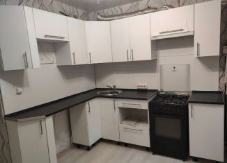 Сдам двухкомнатную квартиру, 45 м2, Курган, улица Куйбышева, 142А