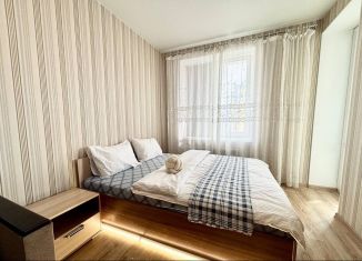 Сдается 1-комнатная квартира, 46 м2, Свердловская область, улица Циолковского, 29