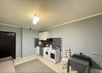 Сдаю в аренду однокомнатную квартиру, 43 м2, Ростов-на-Дону, переулок Белоусова, 8