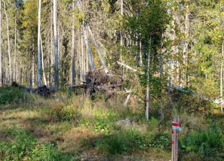 Продам участок, 15 сот., Сыктывкар, Моховая улица