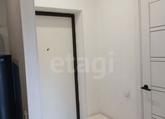 Продажа квартиры студии, 25.9 м2, деревня Скотное, Вересковая улица, 2к1