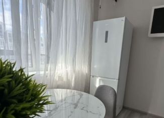 Сдача в аренду 1-ком. квартиры, 43 м2, Свердловская область, улица Декабристов, 20