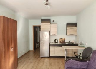 Квартира на продажу студия, 24.3 м2, Колпино, улица Севастьянова, 28к1