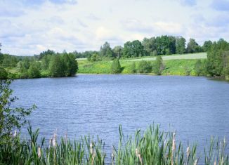 Продам участок, 10 сот., Тульская область