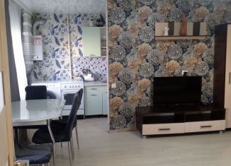 Сдача в аренду 2-ком. квартиры, 45 м2, Республика Башкортостан, улица Ленина, 87