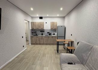 Продается однокомнатная квартира, 44.6 м2, Барнаул, улица имени В.Т. Христенко, 8