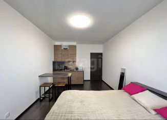 Сдача в аренду квартиры студии, 31 м2, Санкт-Петербург, проспект Авиаконструкторов, 69