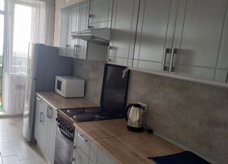 Сдаю в аренду 1-комнатную квартиру, 40 м2, Ростов-на-Дону, улица Еляна, 68