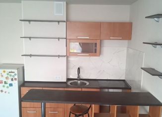 Сдаю квартиру студию, 30 м2, Новосибирск, улица Татьяны Снежиной, 51, Октябрьский район