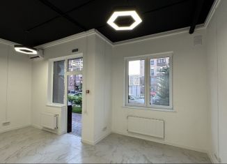 Сдаю в аренду помещение свободного назначения, 34 м2, Краснодар, Скандинавская улица, 1к6